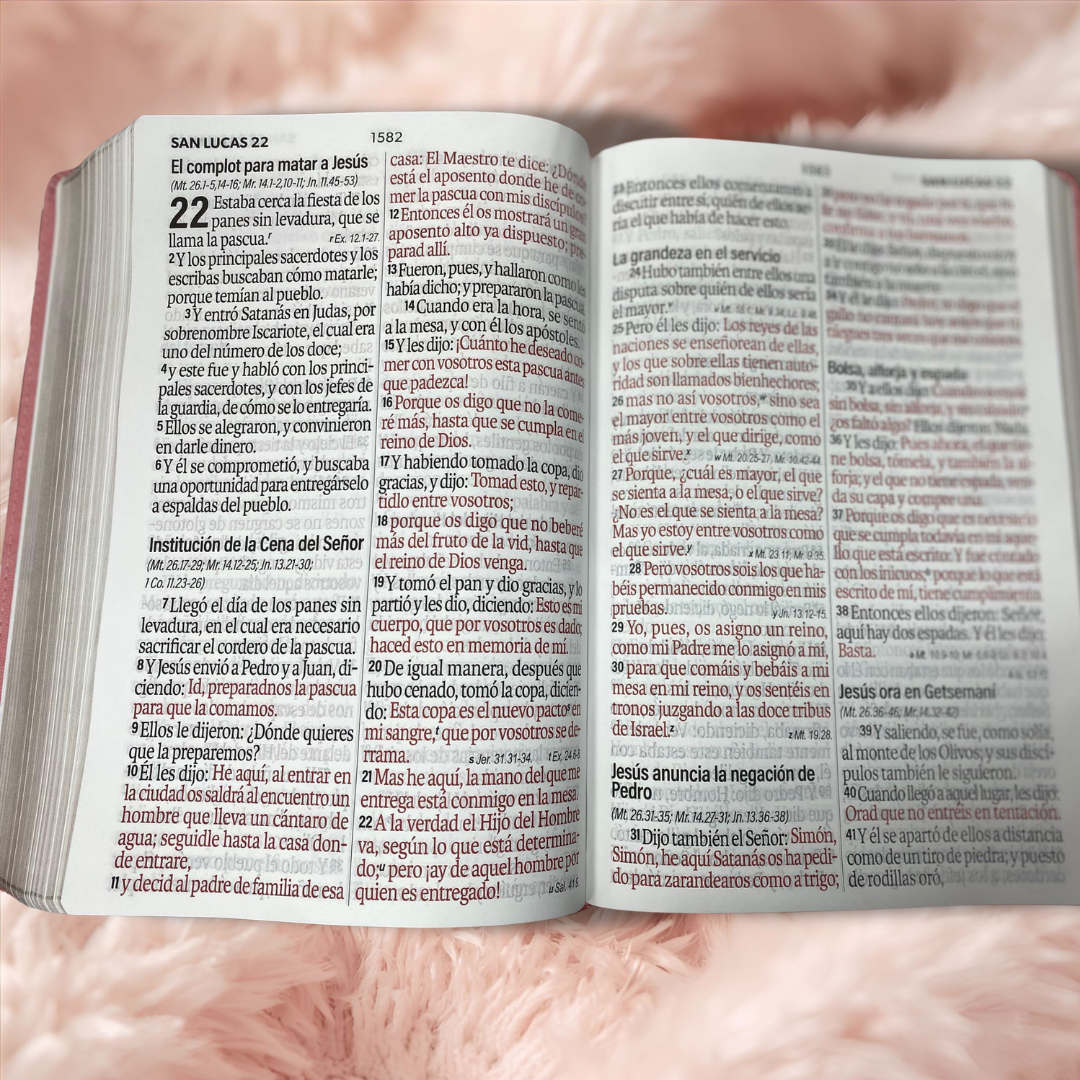 Biblia letra gigante 19 puntos en versión RV60 con canto dorado y concordancia