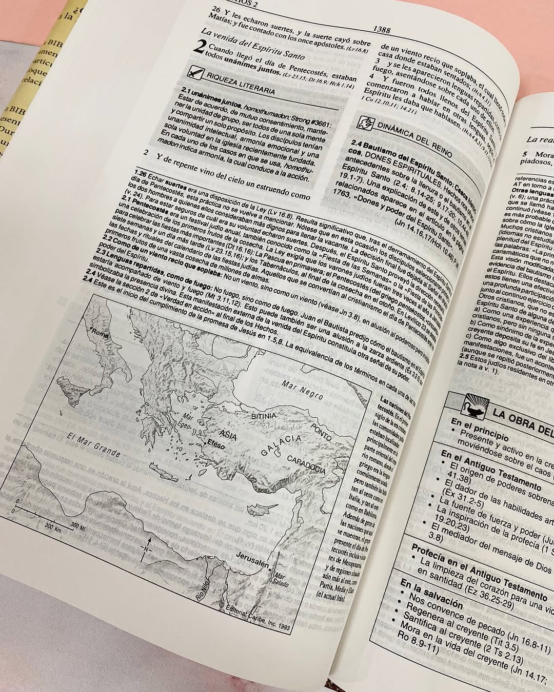 Biblia de estudio plenitud en tapa dura versión RV1960 letra mediana