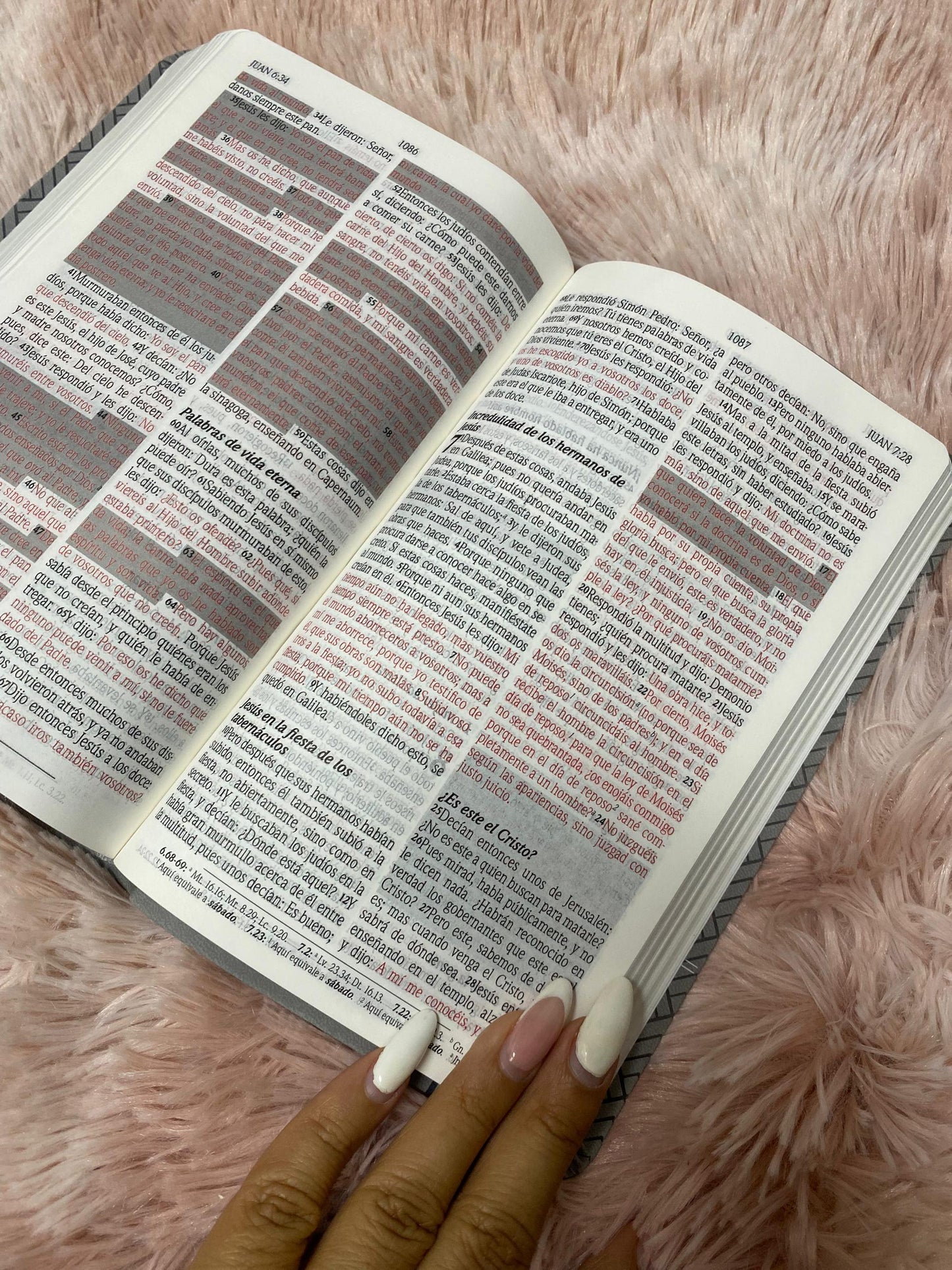 Biblia de promesas letra grande 12 puntos canto plateado versión RV1960
