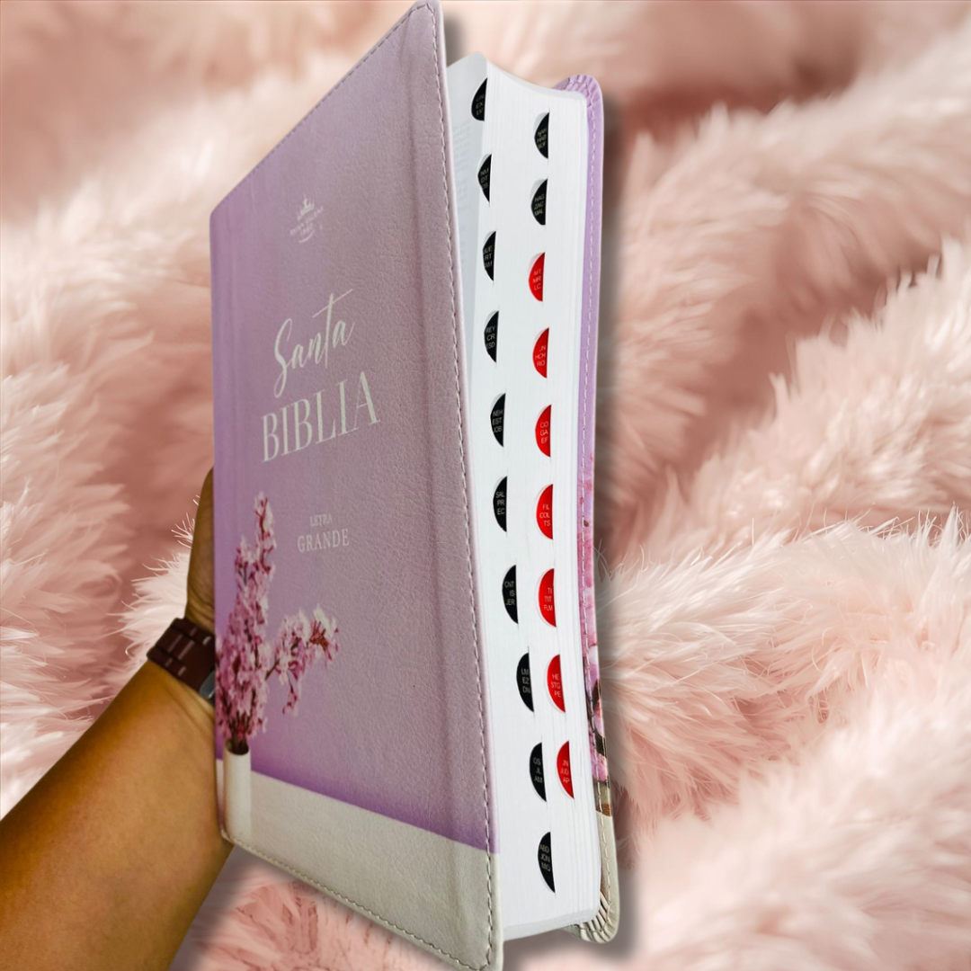 Biblia letra grande 12 puntos con índice versión RV60 y concordancia