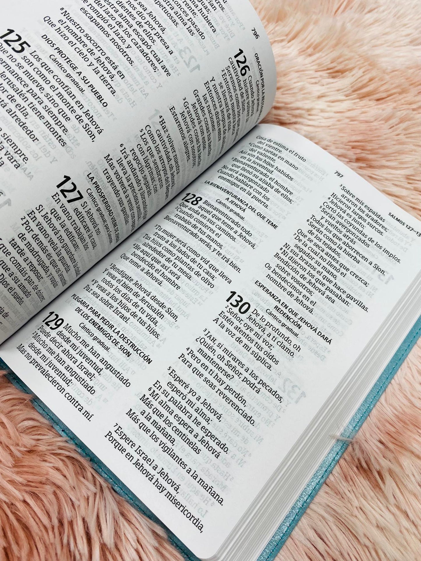 Biblia versión RV1960 letra grande 12 puntos en símil piel canto plateado tamaño manual con concordancia