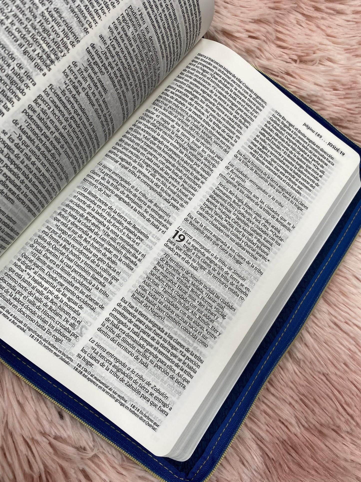 Biblia versión NTV con cierre ultradelgada letra mediana