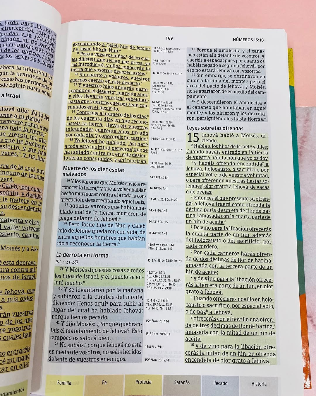 Biblia de estudio arcoiris en tapa dura versión RV1960