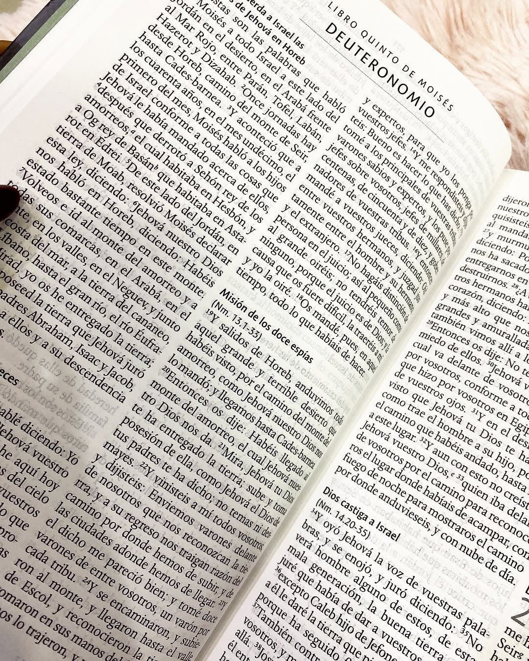 Biblia tapa dura león de Judá letra grande 10 puntos versión RV1960 con concordancia