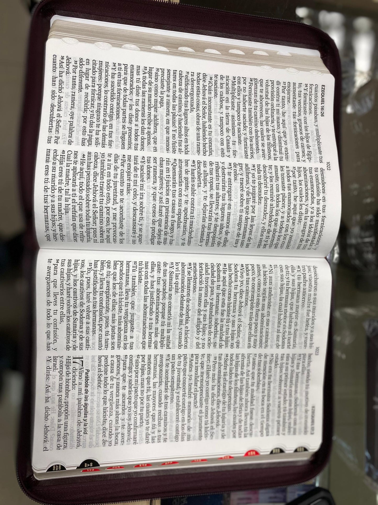 Biblia letra gigante 15 puntos con cierre e índice versión RV60 con concordancia