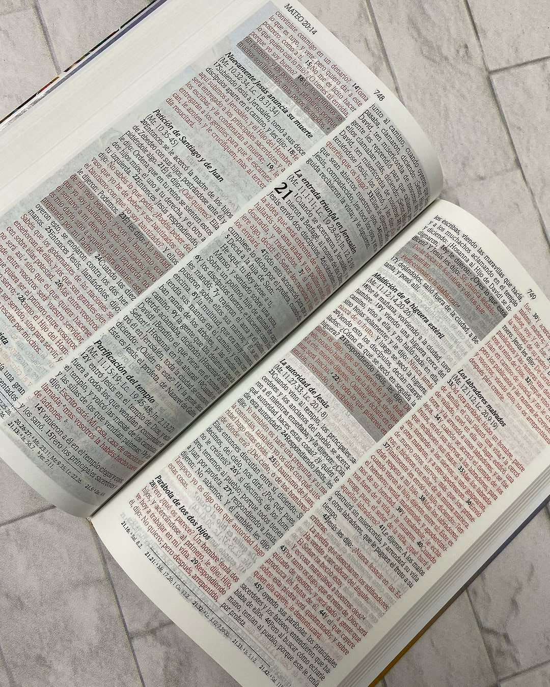 Biblia de promesas para niños ilustrada en tapa dura versión RV60