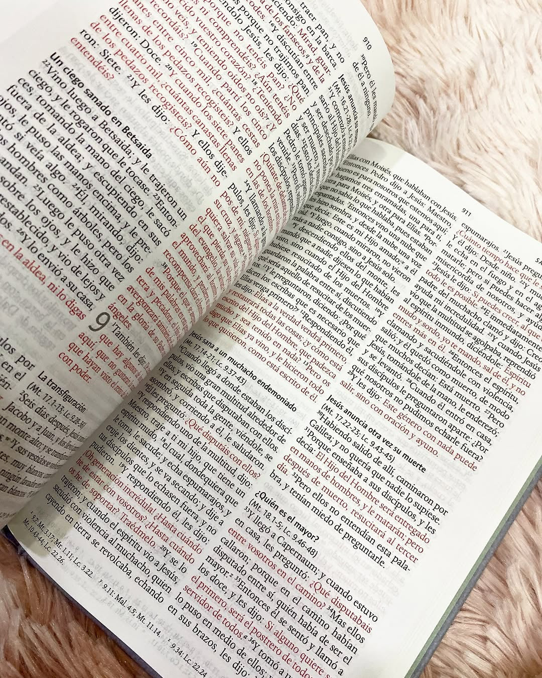 Biblia tapa dura león de Judá letra grande 10 puntos versión RV1960 con concordancia