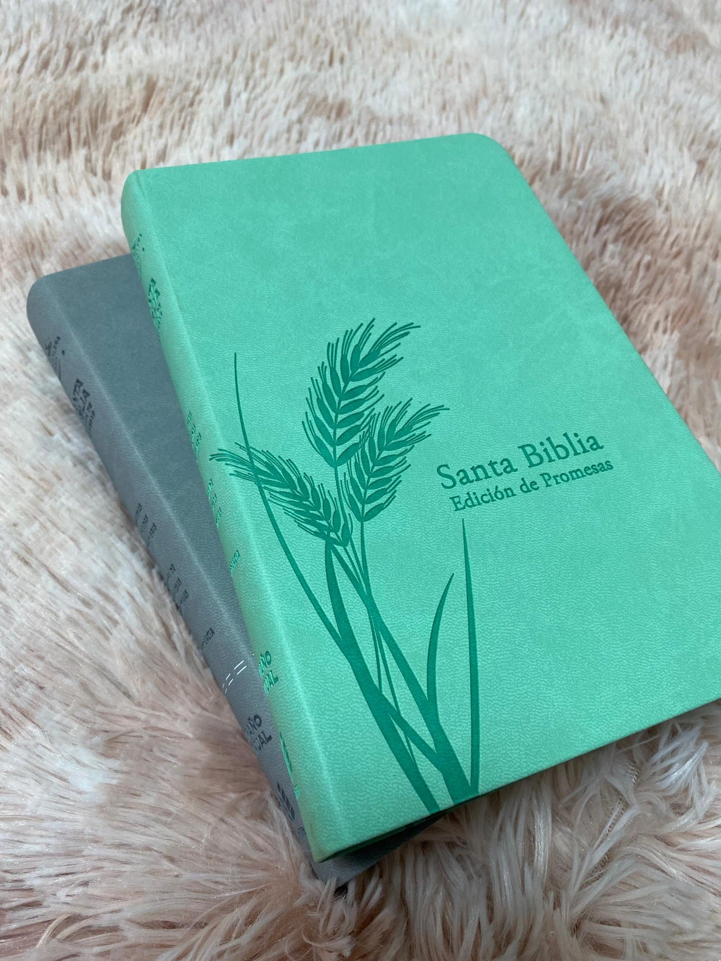 Biblia de promesas letra grande 12 puntos canto plateado versión RV1960