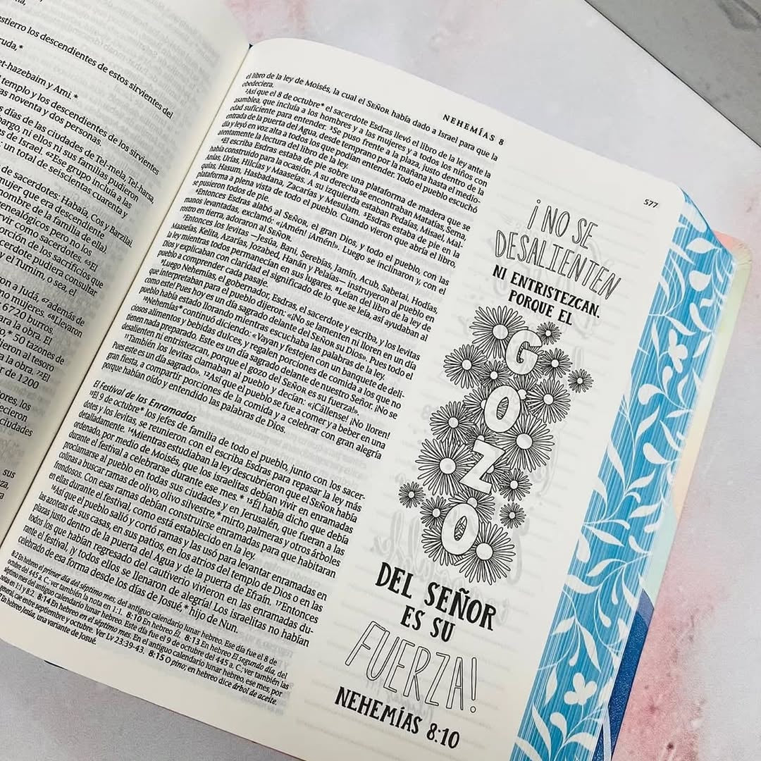 Biblia inspira artística de apuntes e ilustraciones versión NTV letra mediana