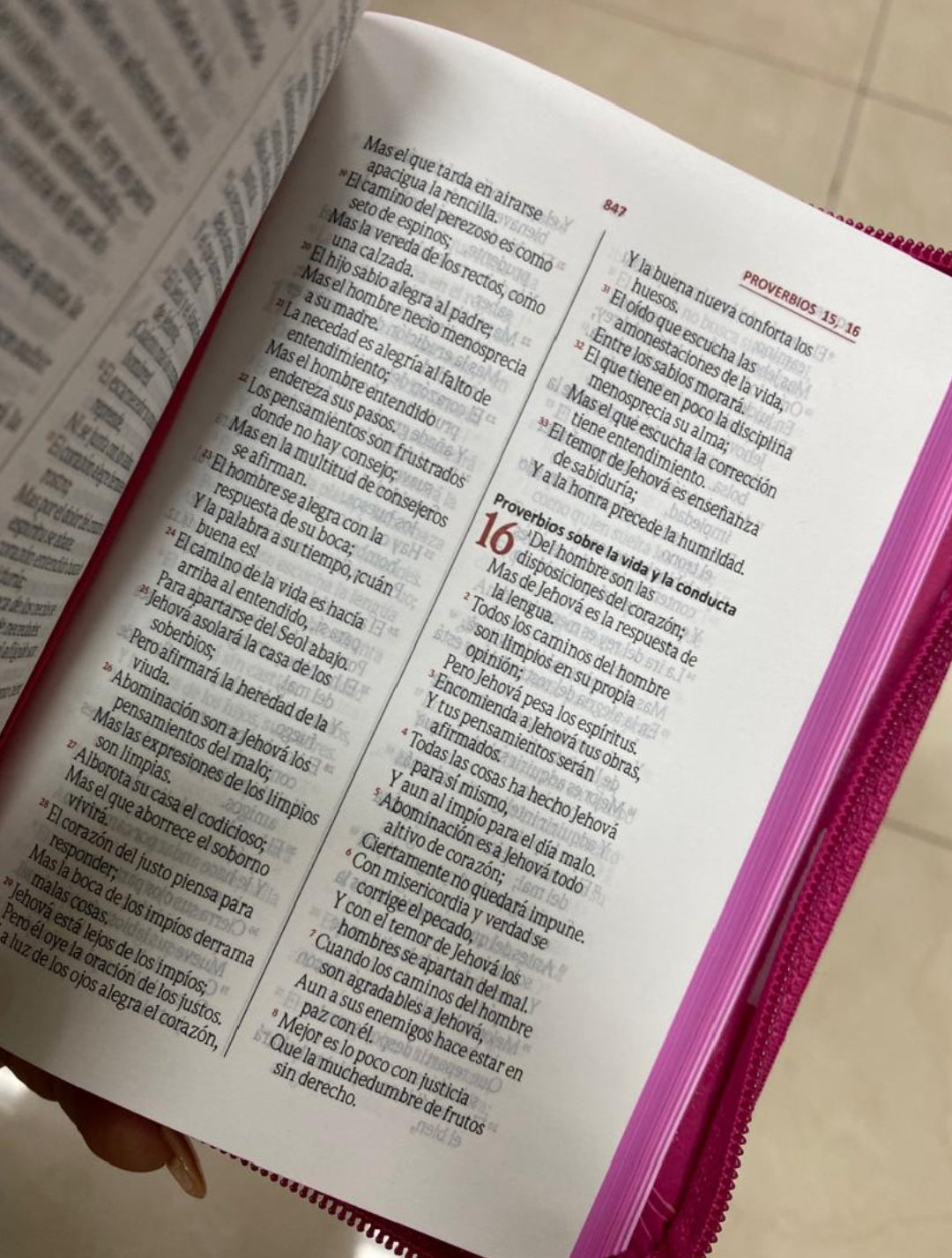 Biblia de bolsillo letra mediana 10,5 puntos con cierre y palabras de Jesús en rojo canto pintado versión RV60