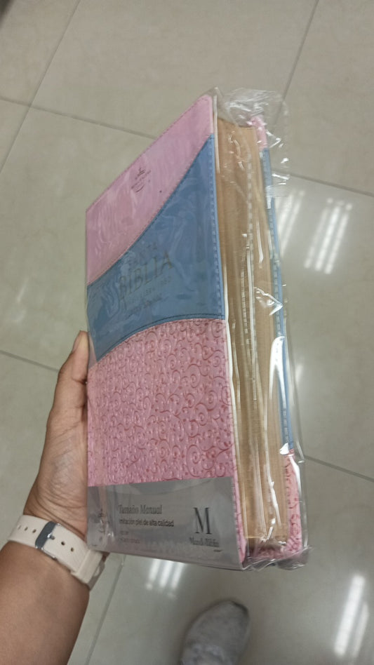 Biblia letra grande 12 puntos con canto dorado versión RV60 con concordancia