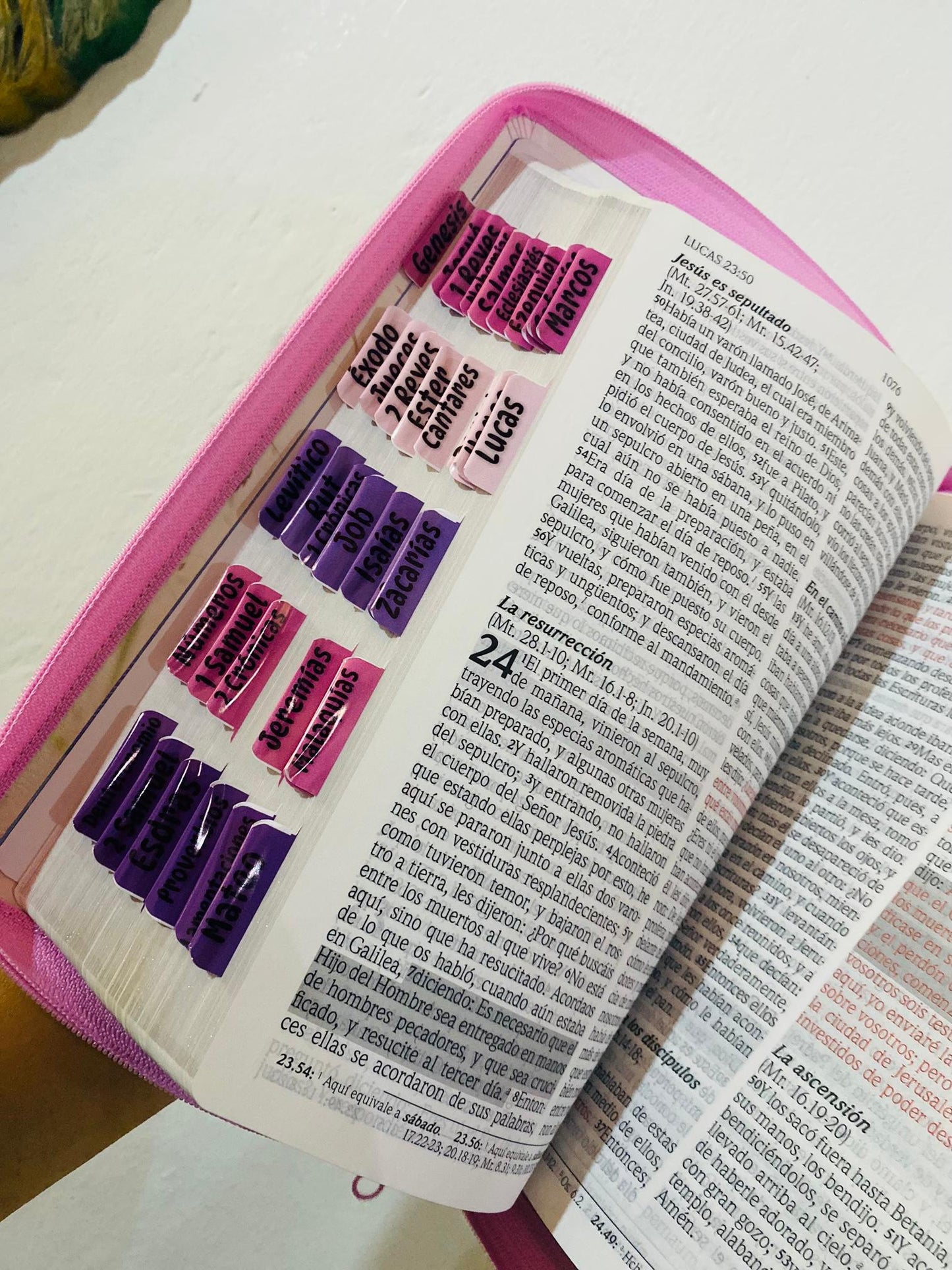Biblia letra gigante de promesas para mujeres versión RV1960 con cierre y concordancia