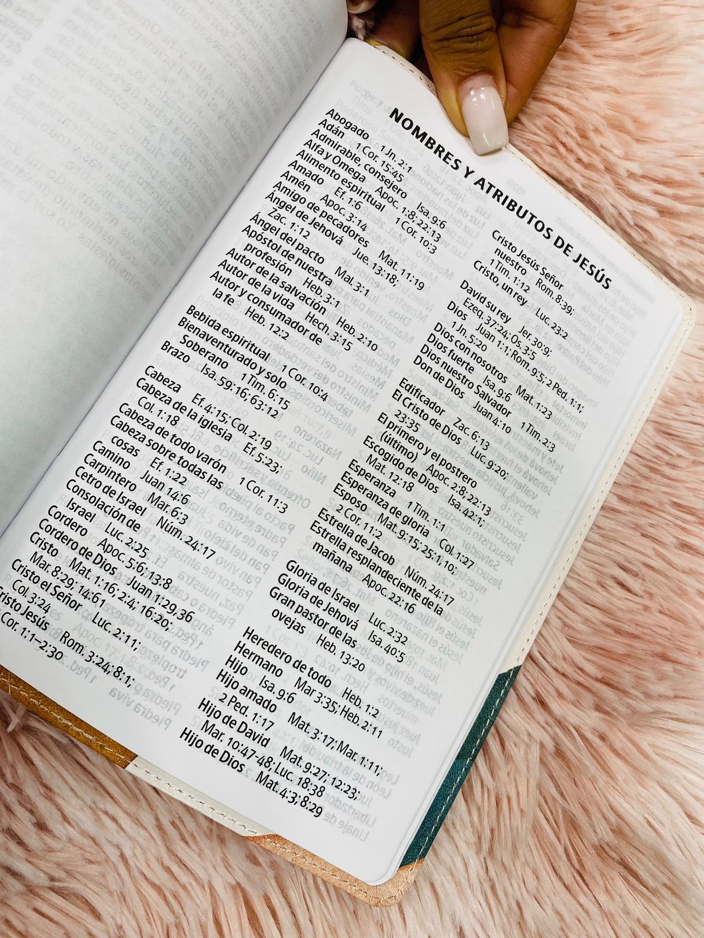 Biblia versión RV1960 letra grande 12 puntos en símil piel canto plateado tamaño manual con concordancia