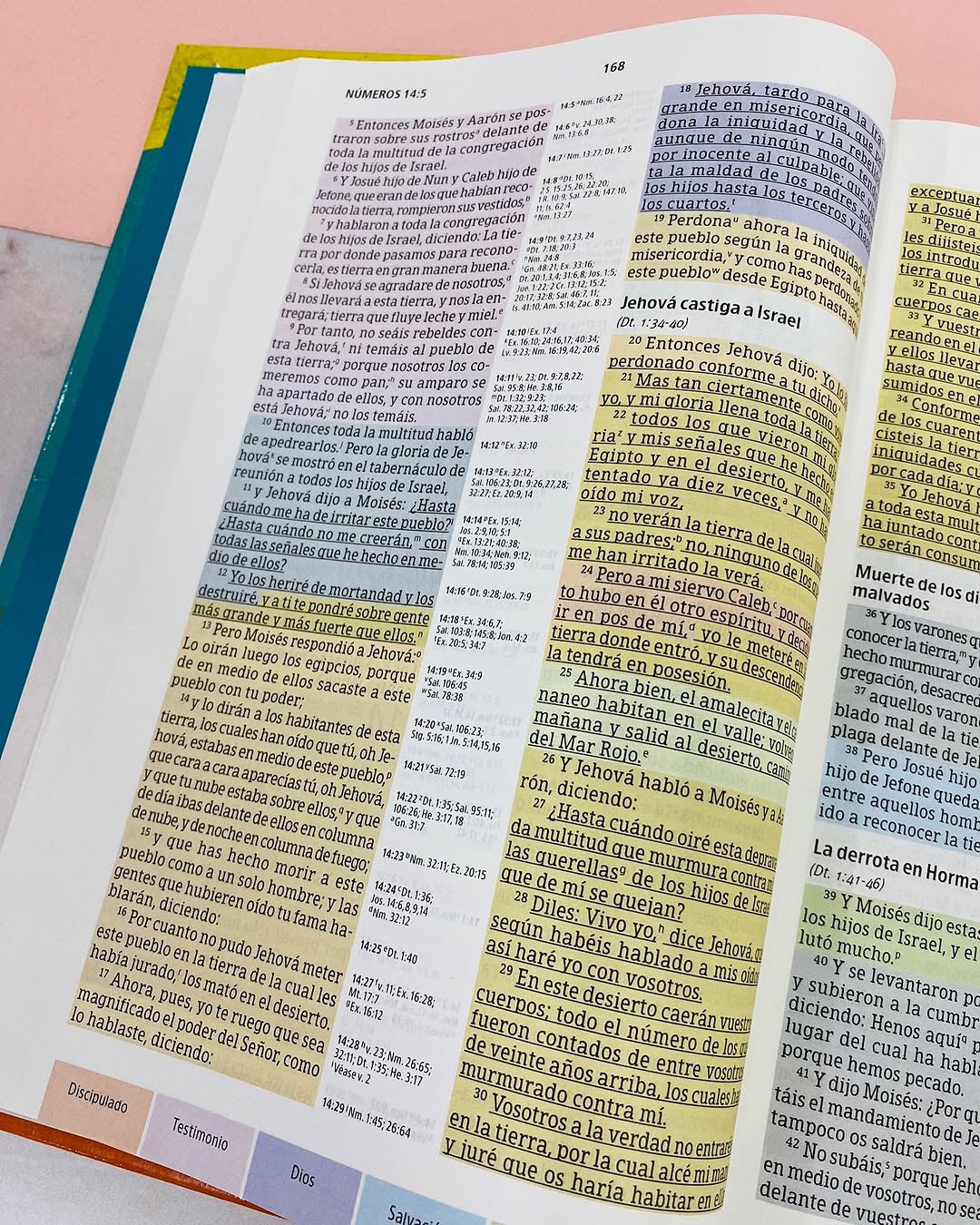 Biblia de estudio arcoiris en tapa dura versión RV1960