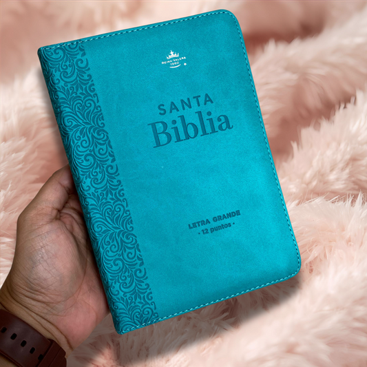 Biblia letra grande letra 12 puntos con canto plateado cierre y concordancia
