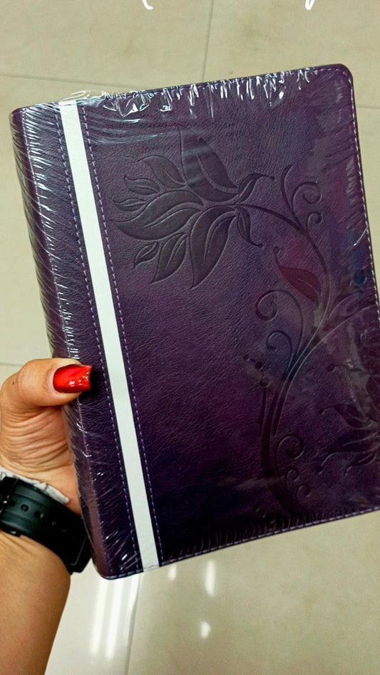 Biblia con devocional mujer conforme al corazón de Dios en símil piel canto plateado versión RV1960