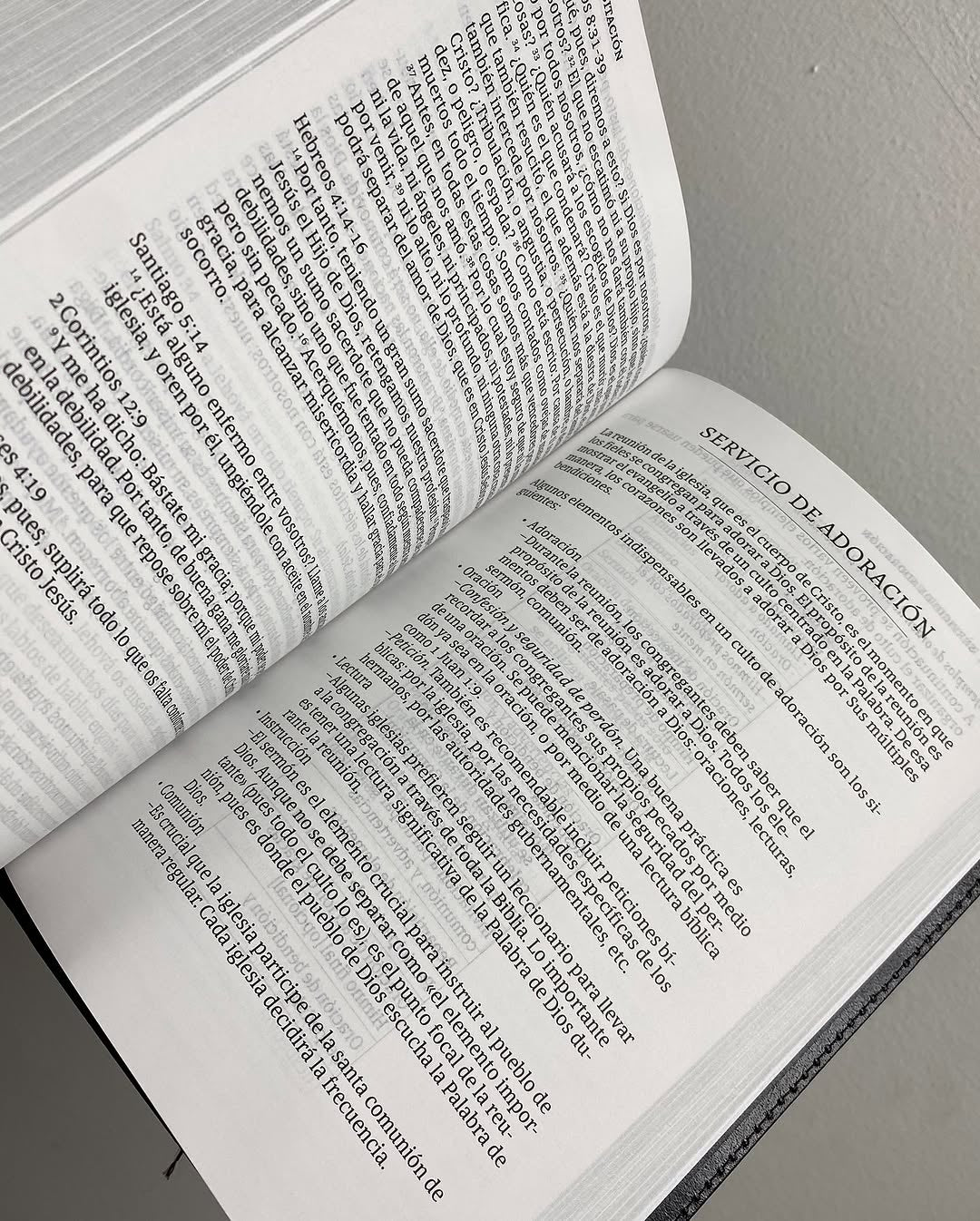 Biblia del ministro en símil piel color negro con canto plateado