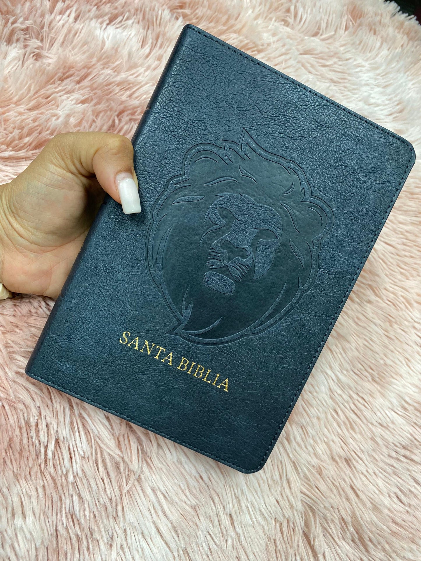 Biblia versión RV1960 letra grande 12 puntos en símil piel canto plateado tamaño manual con concordancia
