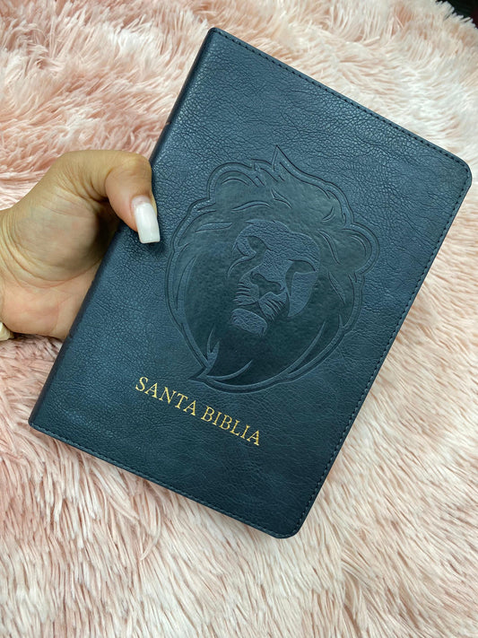 Biblia versión RV1960 letra grande 12 puntos en símil piel canto plateado tamaño manual con concordancia