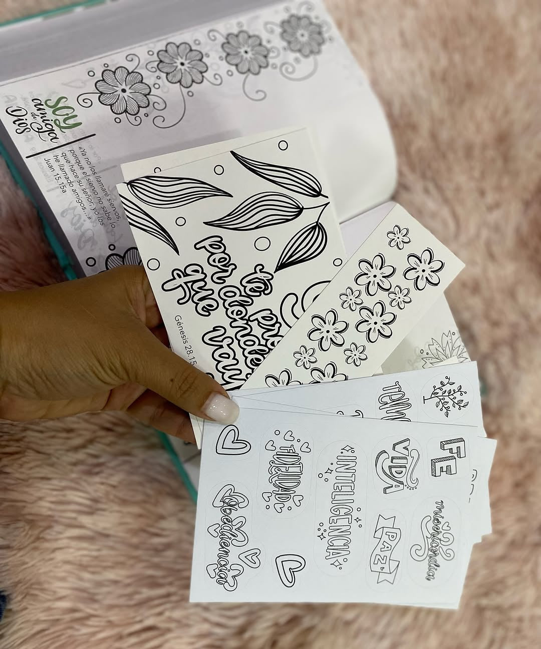 Biblia artística de apuntes con ilustraciones y devocionales para un año en versión RVC letra mediana