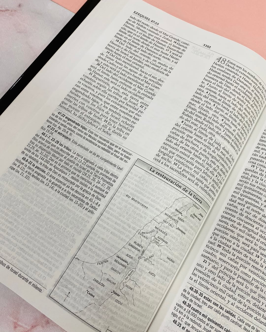 Biblia de estudio MacArthur símil piel versión de lujo versión RV1960