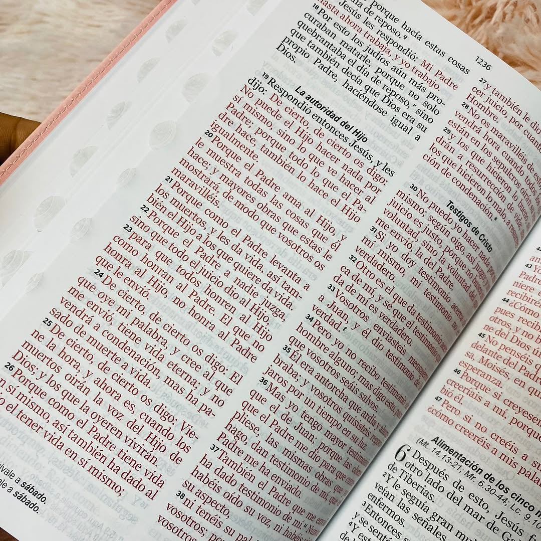 Biblia letra grande 12 puntos tapa flexible versión RV1960 con índice y con concordancia