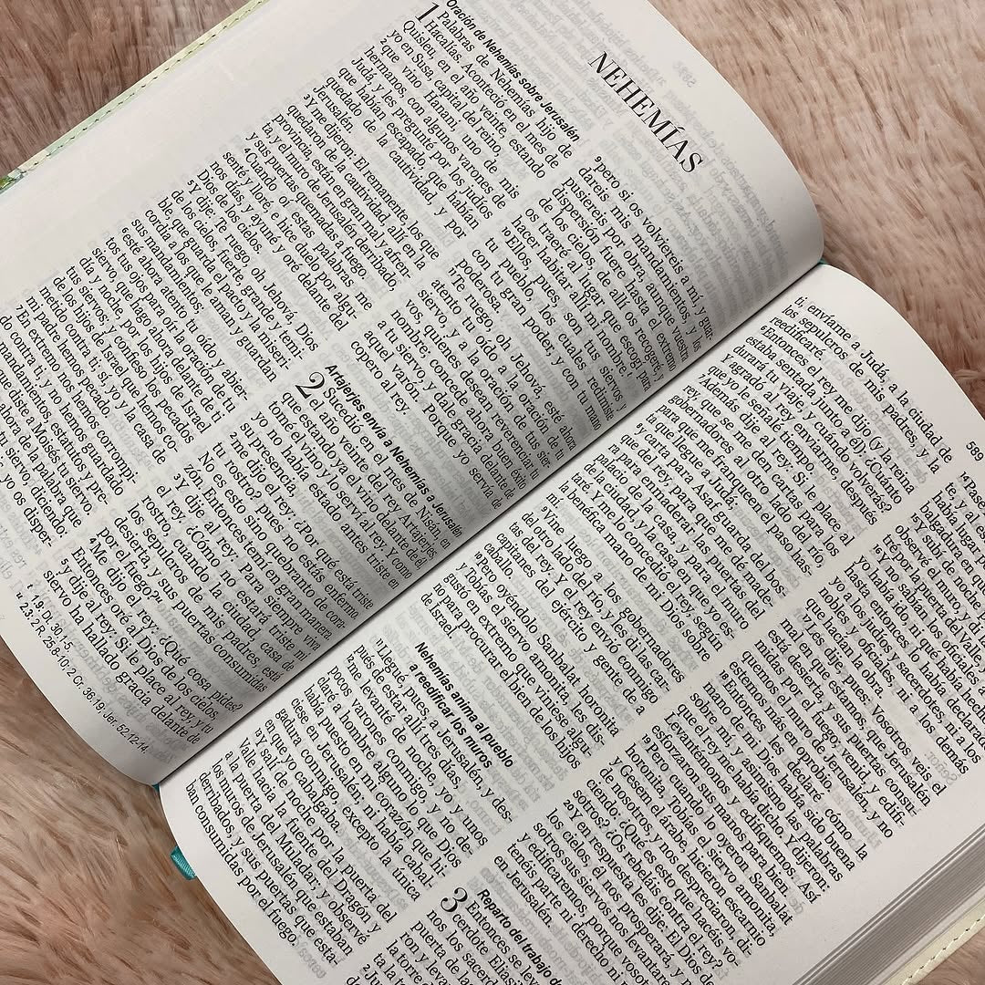 Biblia tamaño manual letra 12 puntos versión RV1960 con concordancia