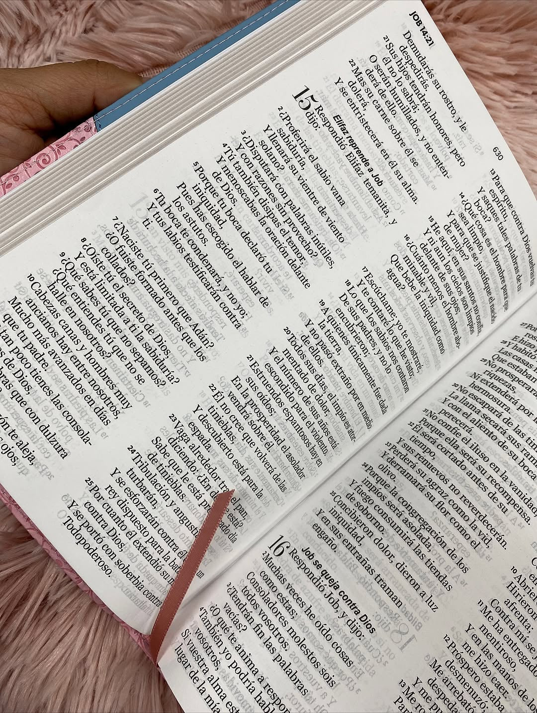 Biblia letra grande 12 puntos con canto dorado versión RV60 con concordancia
