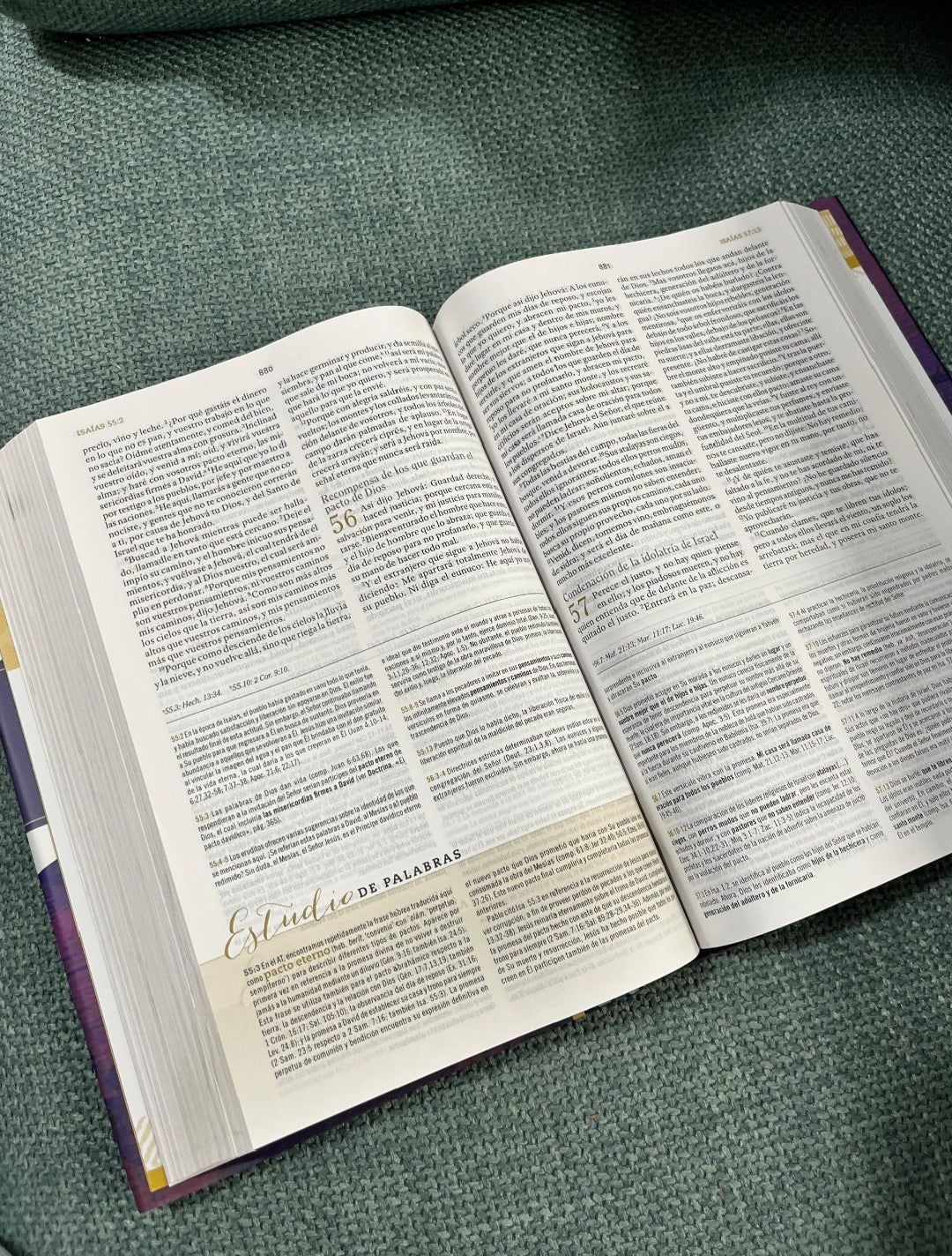 Biblia de estudio para mujeres en tapa dura versión RV1960 letra mediana