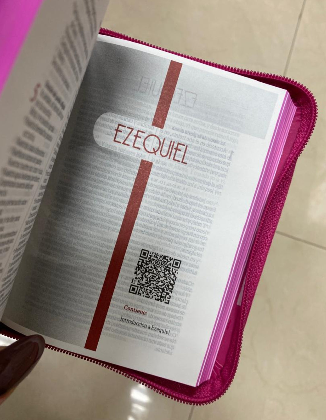 Biblia de bolsillo letra mediana 10,5 puntos con cierre y palabras de Jesús en rojo canto pintado versión RV60