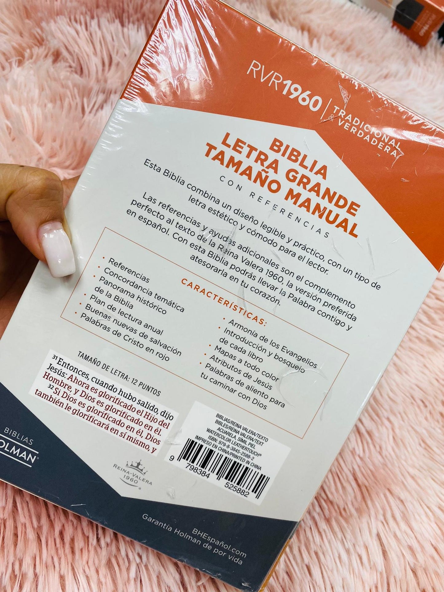 Biblia versión RV1960 letra grande 12 puntos en símil piel canto plateado tamaño manual con concordancia