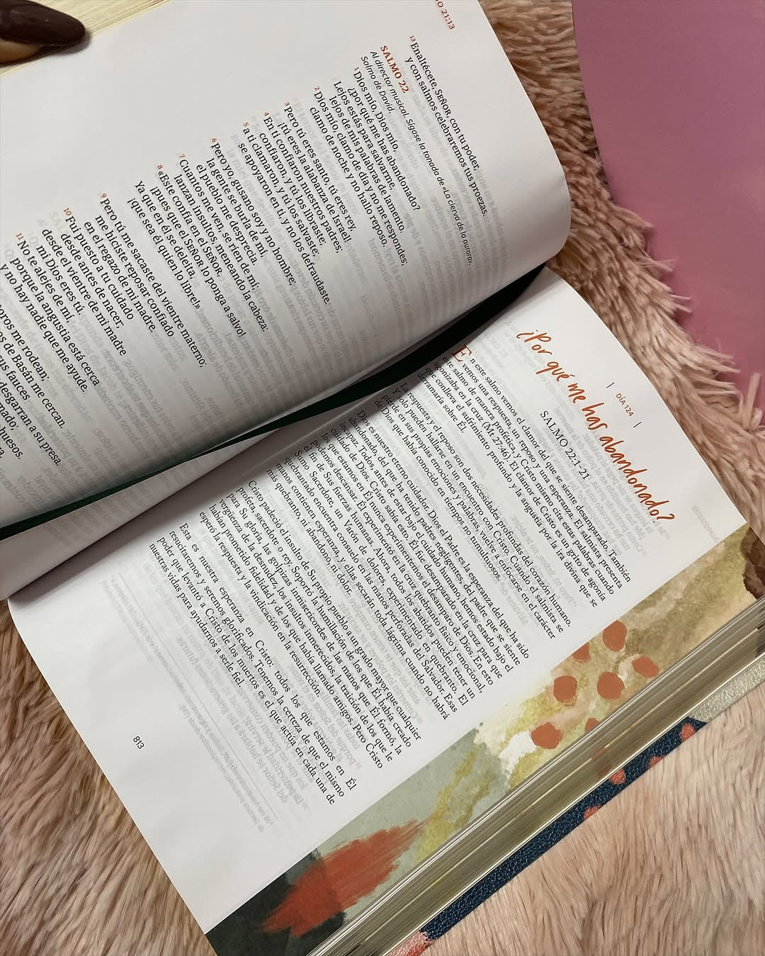 Biblia con devocional para mujeres centrada en cristo versión NVI