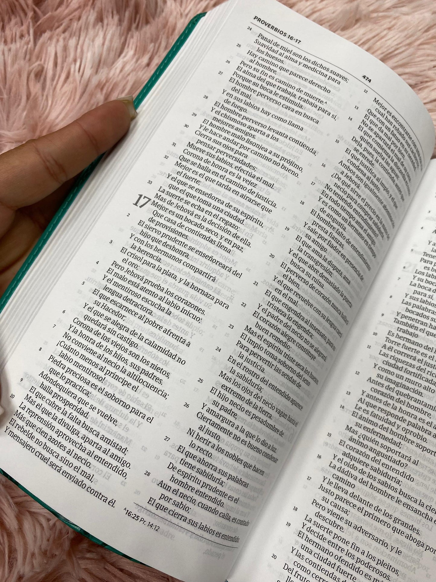Biblia ultrafina versión RV1960 canto plateado letra pequeña 8,5 puntos concordancia y palabras de Jesús en rojo