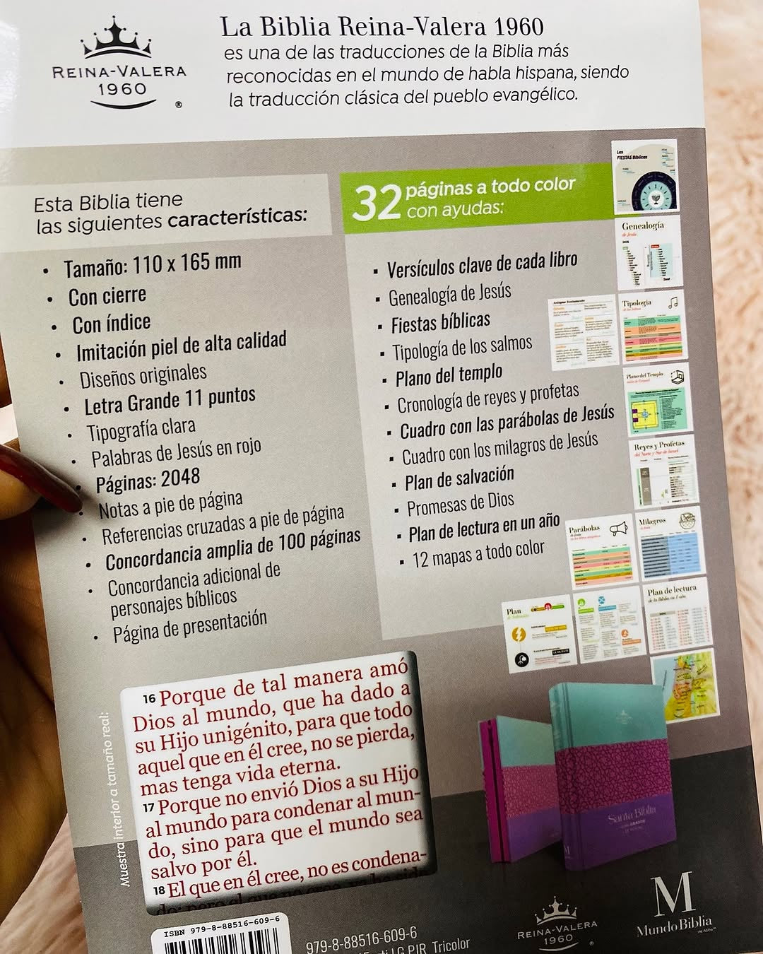 Biblia pequeña letra grande 11 puntos con cierre e índice versión RV60 con concordancia