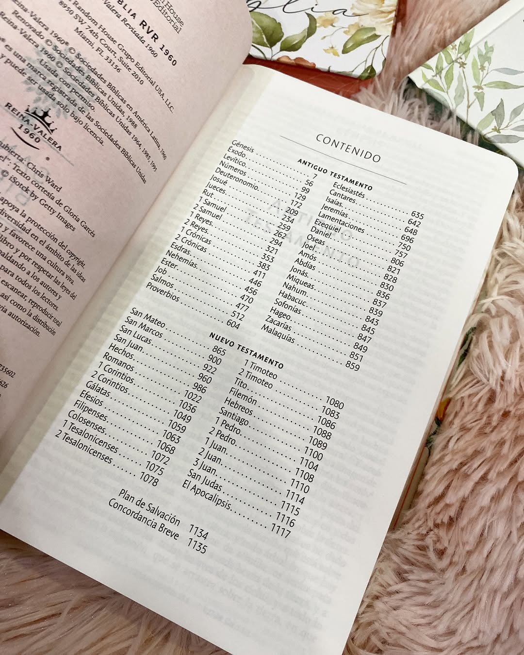 Biblia tapa dura floreada letra grande 10 puntos versión RV1960 con concordancia