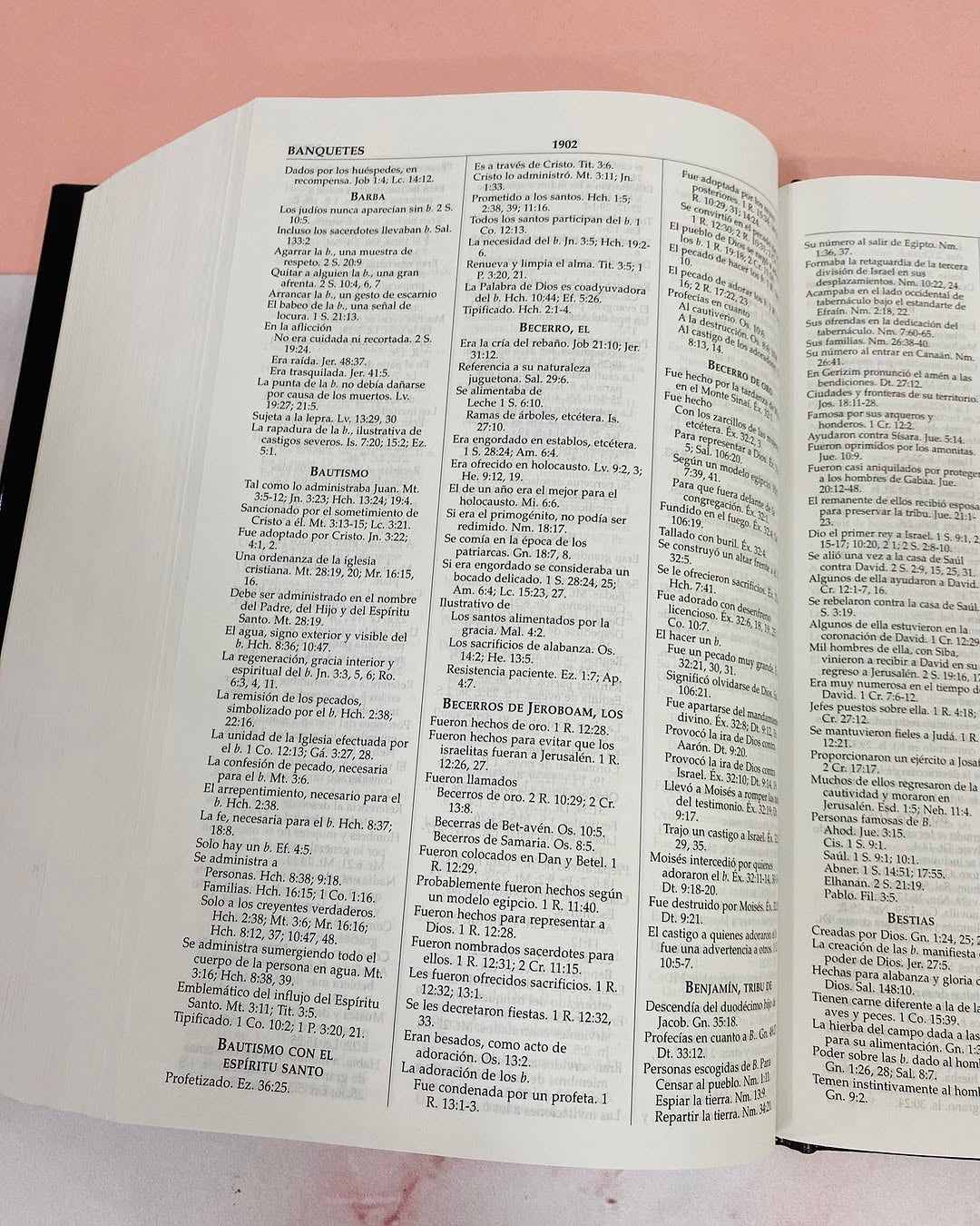 Biblia de estudio MacArthur tapa rústica letra mediana versión RV1960