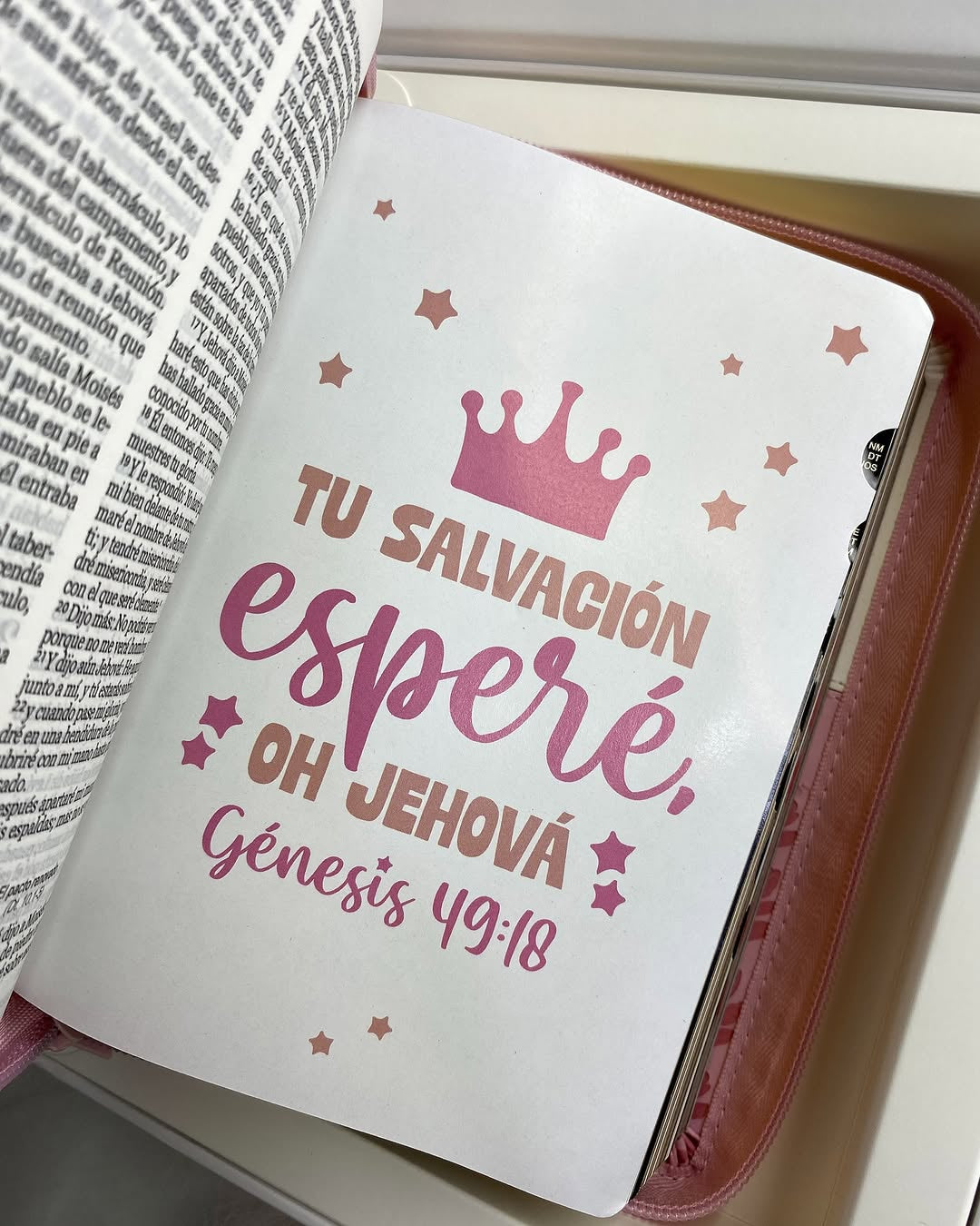 Biblia de quinceañeras en caja para regalos versión RV1960 con cierre índice e ilustrada