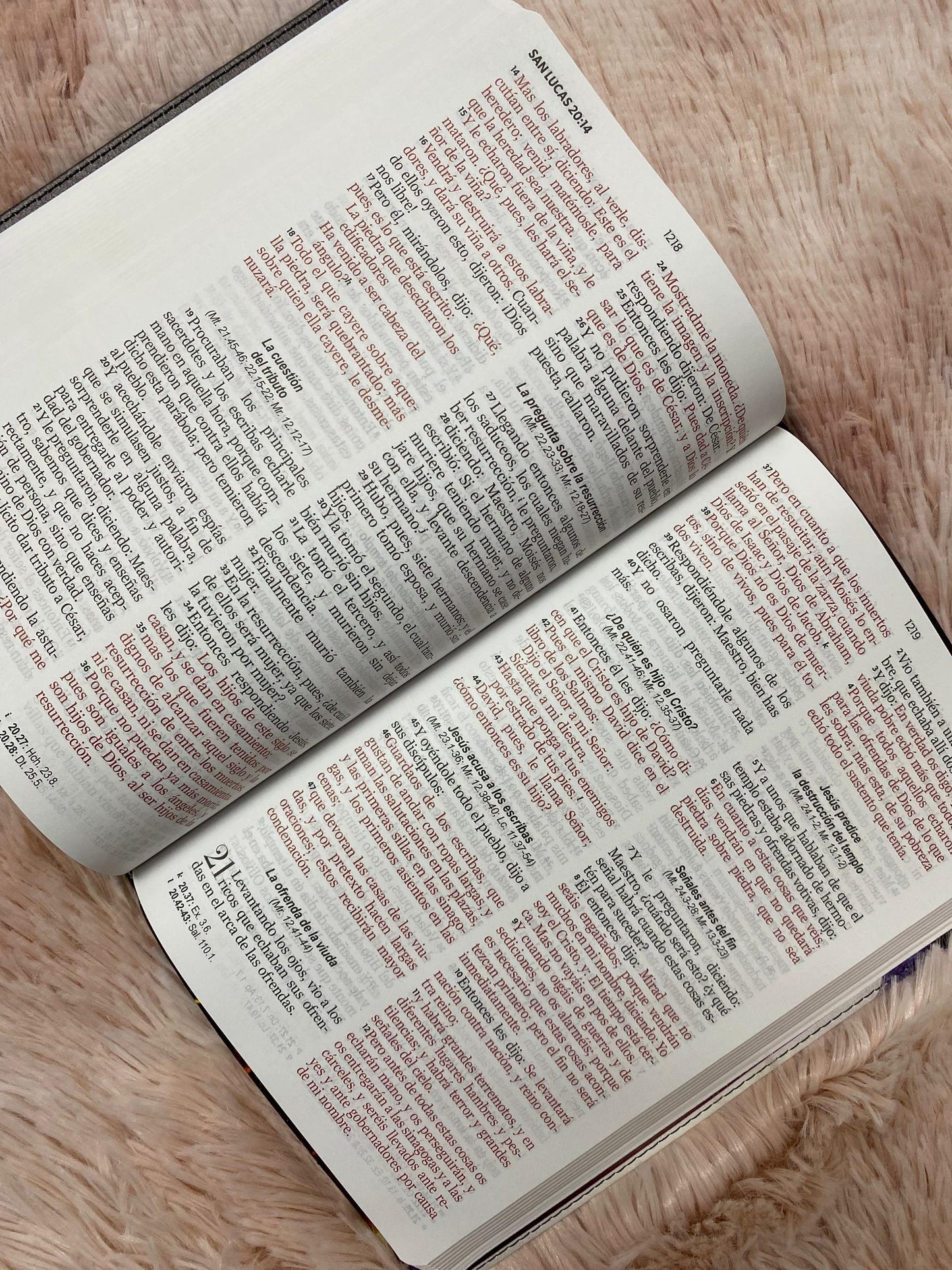 Biblia de espada letra grande 12 puntos tapa flexible versión RV1960 con concordancia