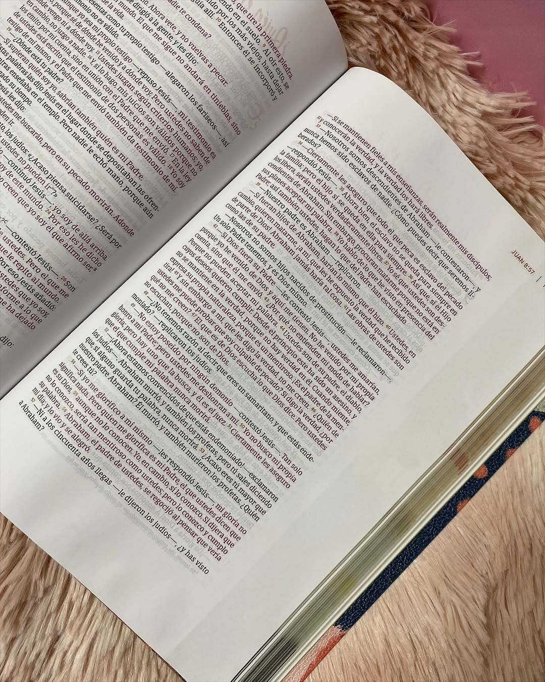 Biblia con devocional para mujeres centrada en cristo versión NVI