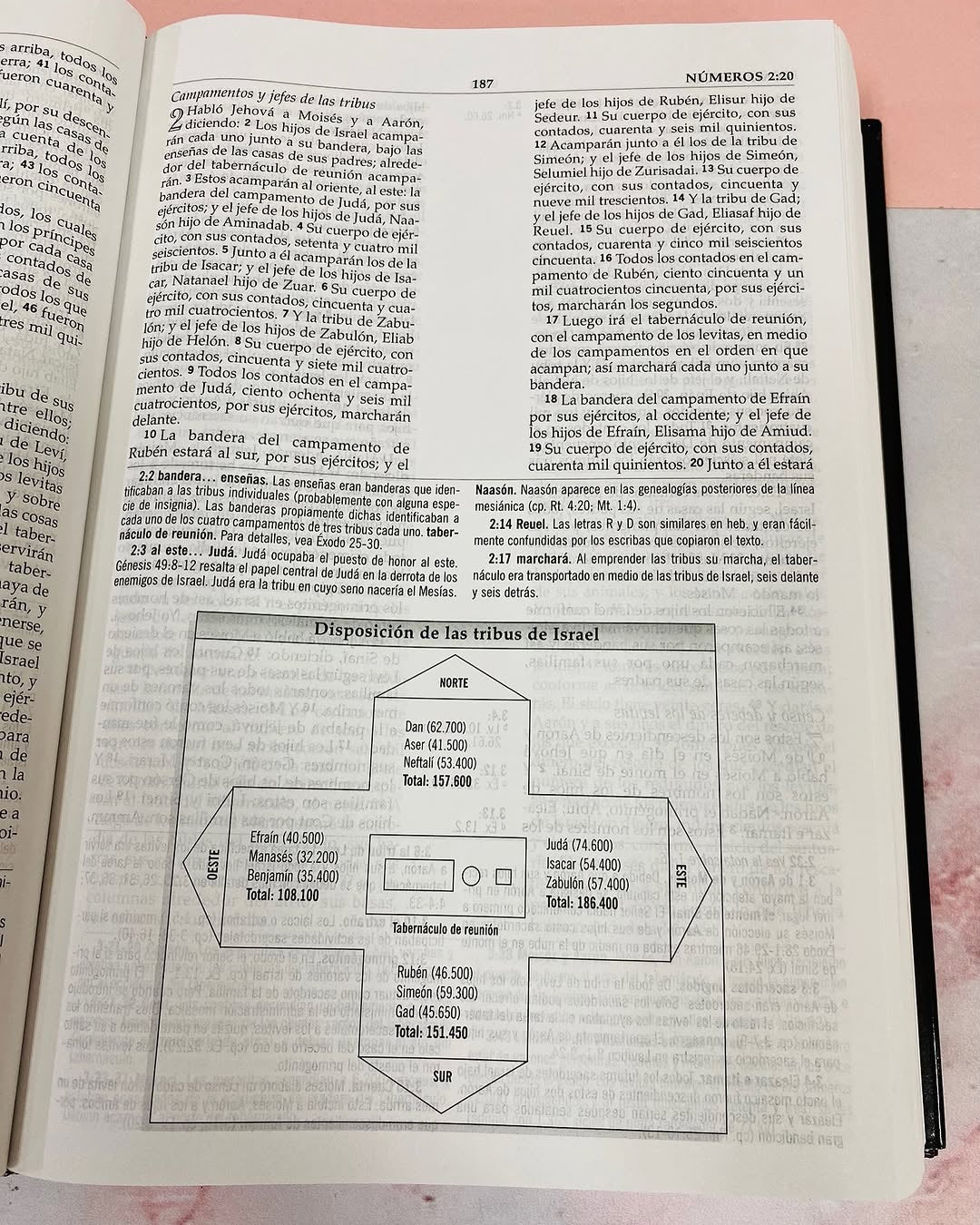 Biblia de estudio MacArthur símil piel versión de lujo versión RV1960