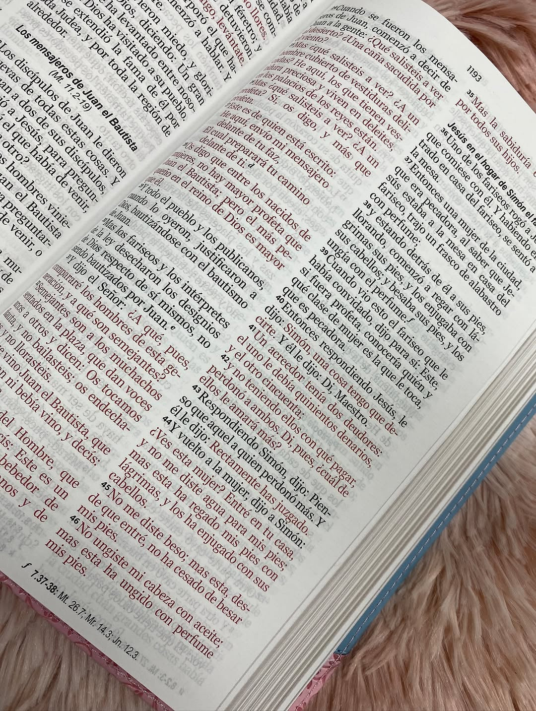 Biblia letra grande 12 puntos con canto dorado versión RV60 con concordancia