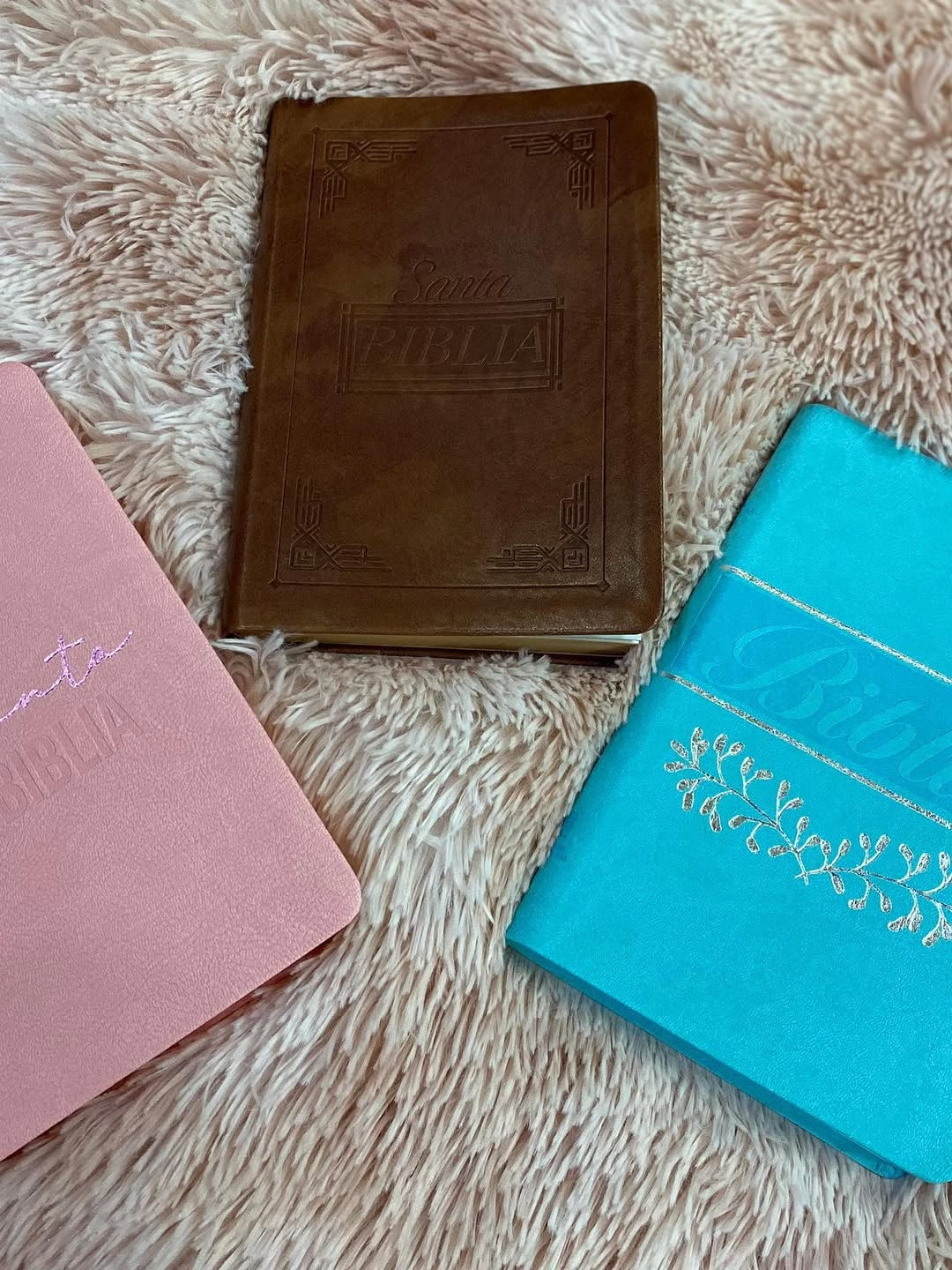 Biblia mediana ultrafina letra mediana símil piel versión RV60